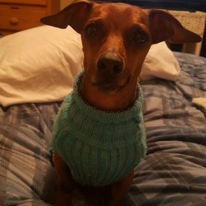 Meet your Posher, Sunni